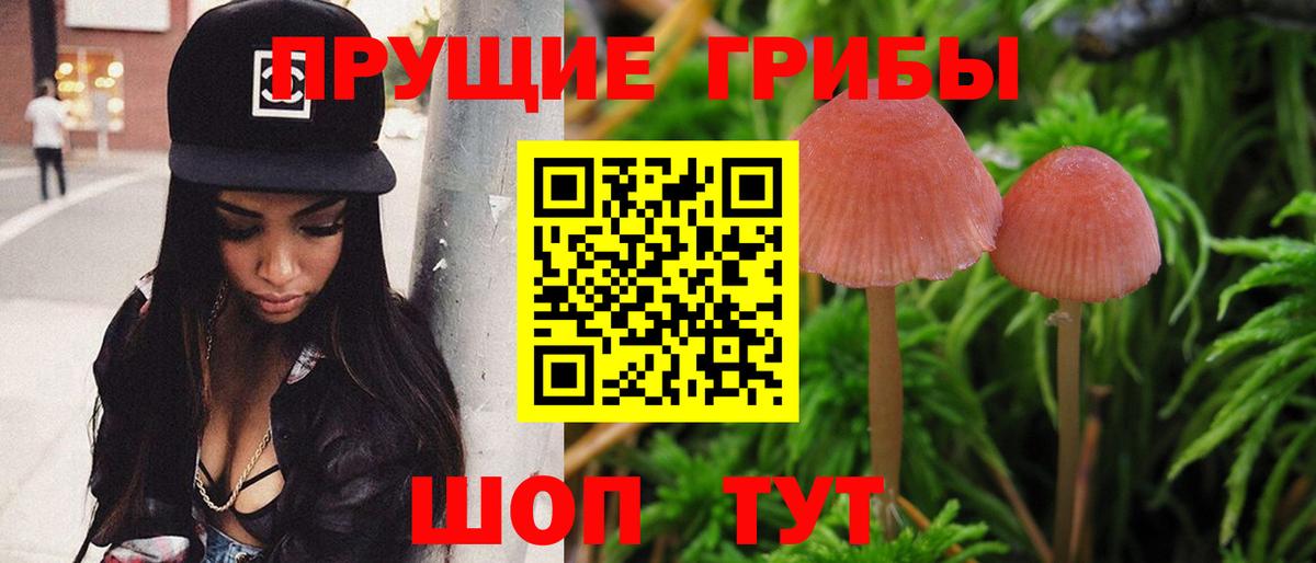 закладка  Галлюциногенные грибы GOLDEN TEACHER  Вход с VPN  Сосновоборск 